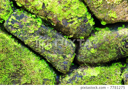 Green moss on old stone wall 7781275