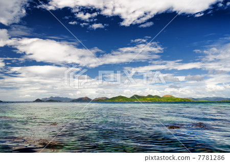 Tropical seashore 7781286