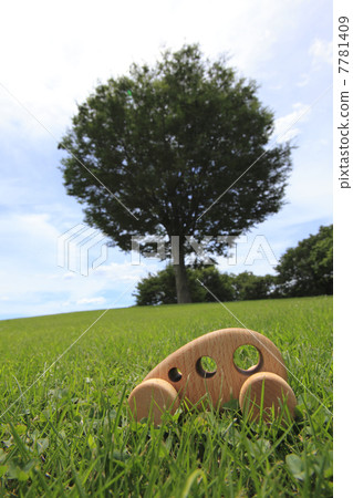 Model of lawn and car 7781409