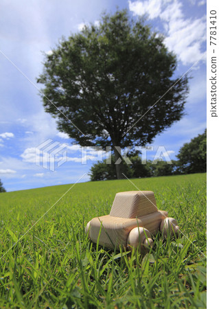 Model of lawn and car 7781410