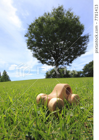 Model of lawn and car 7781413