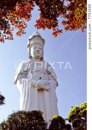 加隆先生 加隆先生 7781698