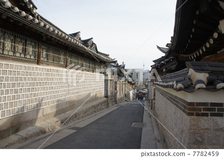 韓國首爾北村花屋村 7782459