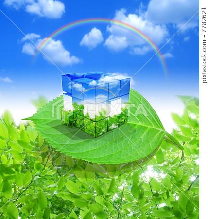 Ecological Rubik's Cube on Leaf 7782621