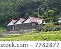 鋸切屋頂工廠 7782877