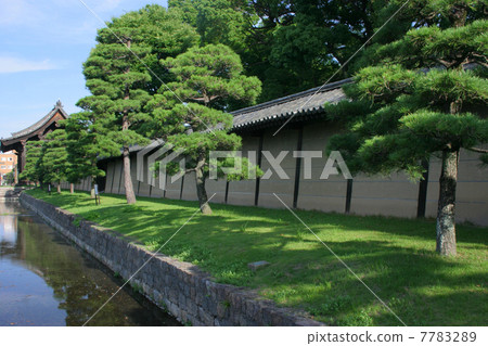 京都Toji Tsukiji籬芭 7783289