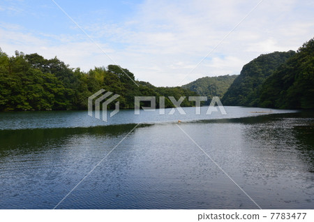 夏天的“Tamado湖”（埼玉縣大里郡Yorii鎮） 7783477