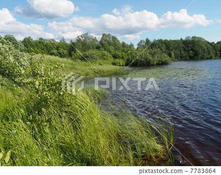 Lake in the summer 7783864