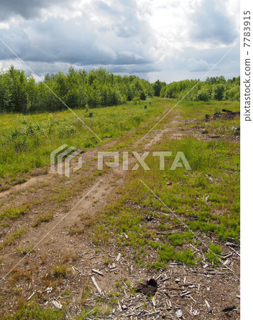 forest road forest road 7783915