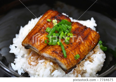 鰻魚碗 鰻魚碗 7784675