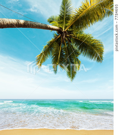 Tropical beach in sunny day Tropical beach in sunny day 7784693