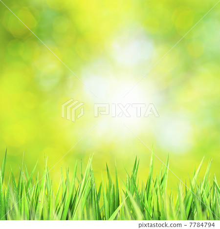 Nature composition Nature composition 7784794