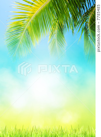 Abstract tropical theme Abstract tropical theme 7785485
