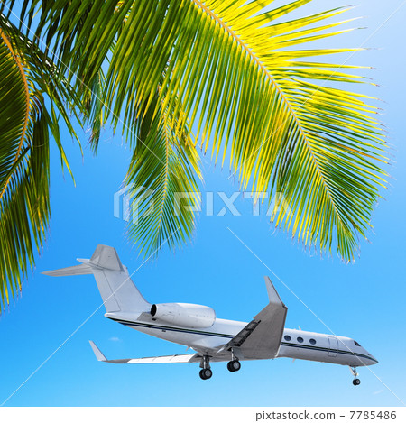 V.I.P. vacation 7785486