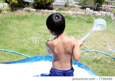 Pool in the garden Pool in the garden 7786466