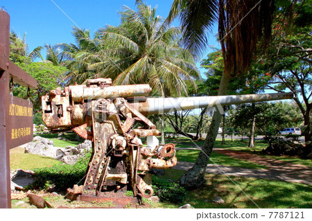 南洋櫻花樹 7787121