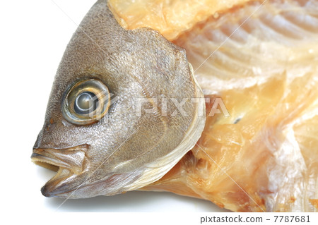 Isaki的開幕 7787681