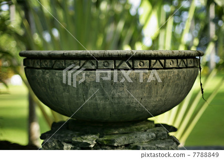 Antique Antique 7788849