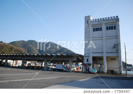大分縣神木町佐賀市 大分縣神木町佐賀市 7789397