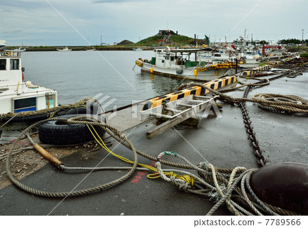 Walking in Hachinohe · Kabushima fishing port and Kabushima 7789566
