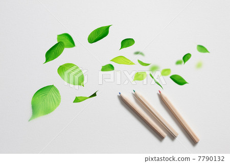 Sketchbook and dancing young leaves Sketchbook and dancing young leaves 7790132
