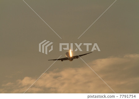 金色的尾翼 7791754