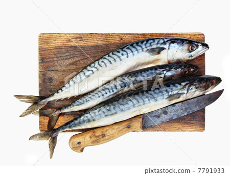 Fresh mackerels Fresh mackerels 7791933