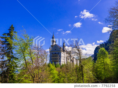 Neuschwanstein Castle wrapped in fresh green Neuschwanstein Castle wrapped in fresh green 7792258