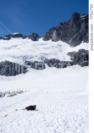 USA - Alaska -  Juneau Ice Field 7792756