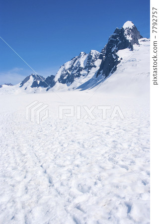 USA - Alaska -  Juneau Ice Field 7792757
