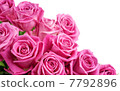 Pink roses corner 7792896