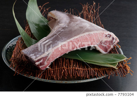 Tuna's bear 7793104