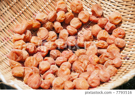 Umishi生魚片乾燥器 7793516