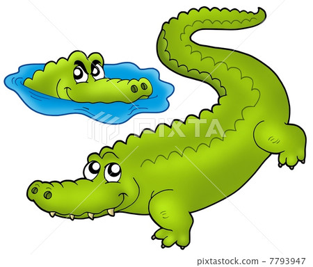 Pair of cartoon crocodiles 7793947