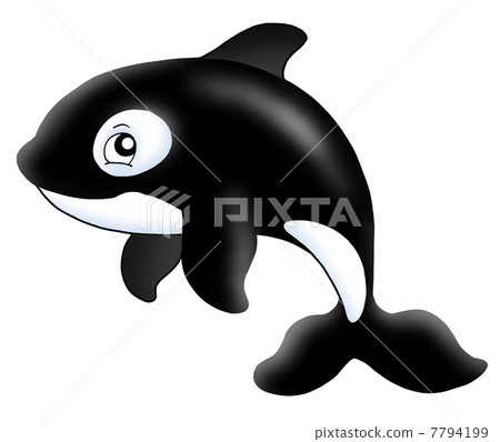 Killer whale 7794199