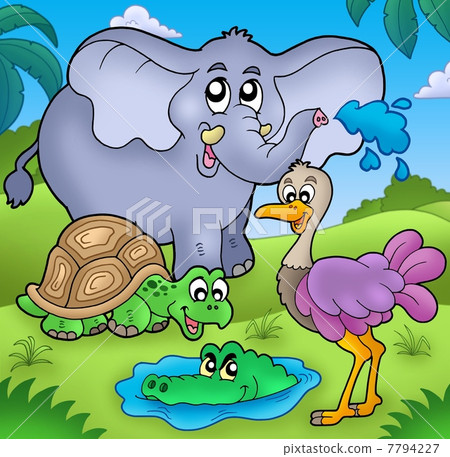 Group of various tropical animals Group of various tropical animals 7794227