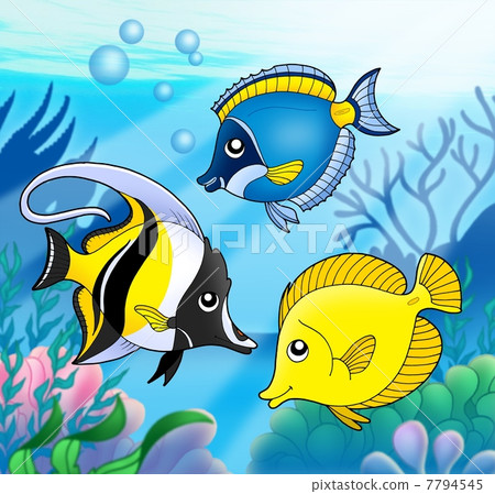 Coral fish collection in sea Coral fish collection in sea 7794545