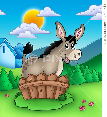 Cute donkey behind fence Cute donkey behind fence 7794715