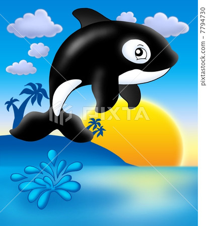 Killer whale with sunset Killer whale with sunset 7794730
