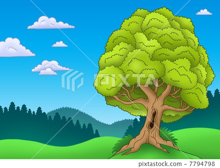 Big leafy tree in landscape Big leafy tree in landscape 7794798
