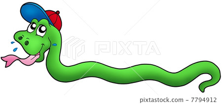 Cartoon snake with baseball cap Cartoon snake with baseball cap 7794912
