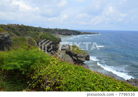 Viewing Arasaki from Cape Kiyatake (Itoman City, Okinawa Prefecture) 7796530