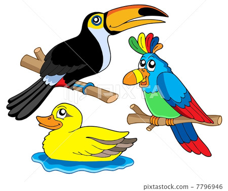 Various birds collection 01 Various birds collection 01 7796946