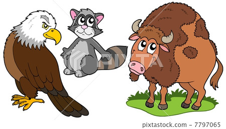 North American animals collection North American animals collection 7797065