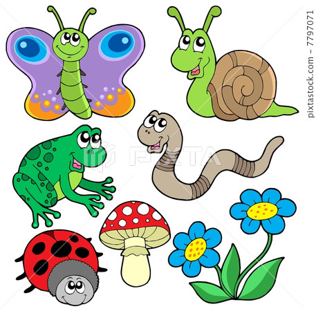 Small animals collection 2 Small animals collection 2 7797071