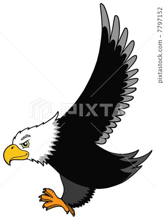 Flying American eagle Flying American eagle 7797152