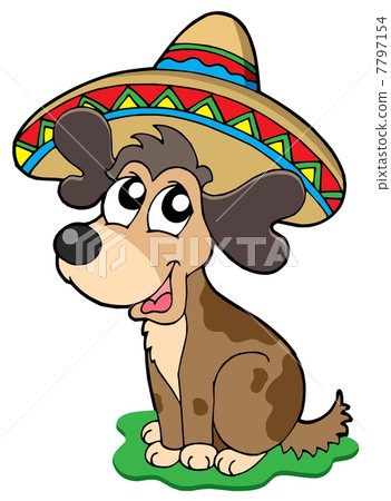 Cute Mexican dog 7797154