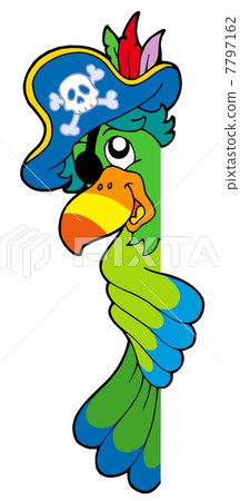 Lurking pirate parrot 7797162