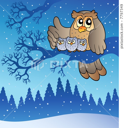 Owl family in winter Owl family in winter 7797349