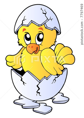Cute chicken in broken eggshell Cute chicken in broken eggshell 7797469